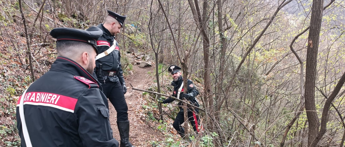 Tartano, raid against drug dealing in the woods: two pushers arrested