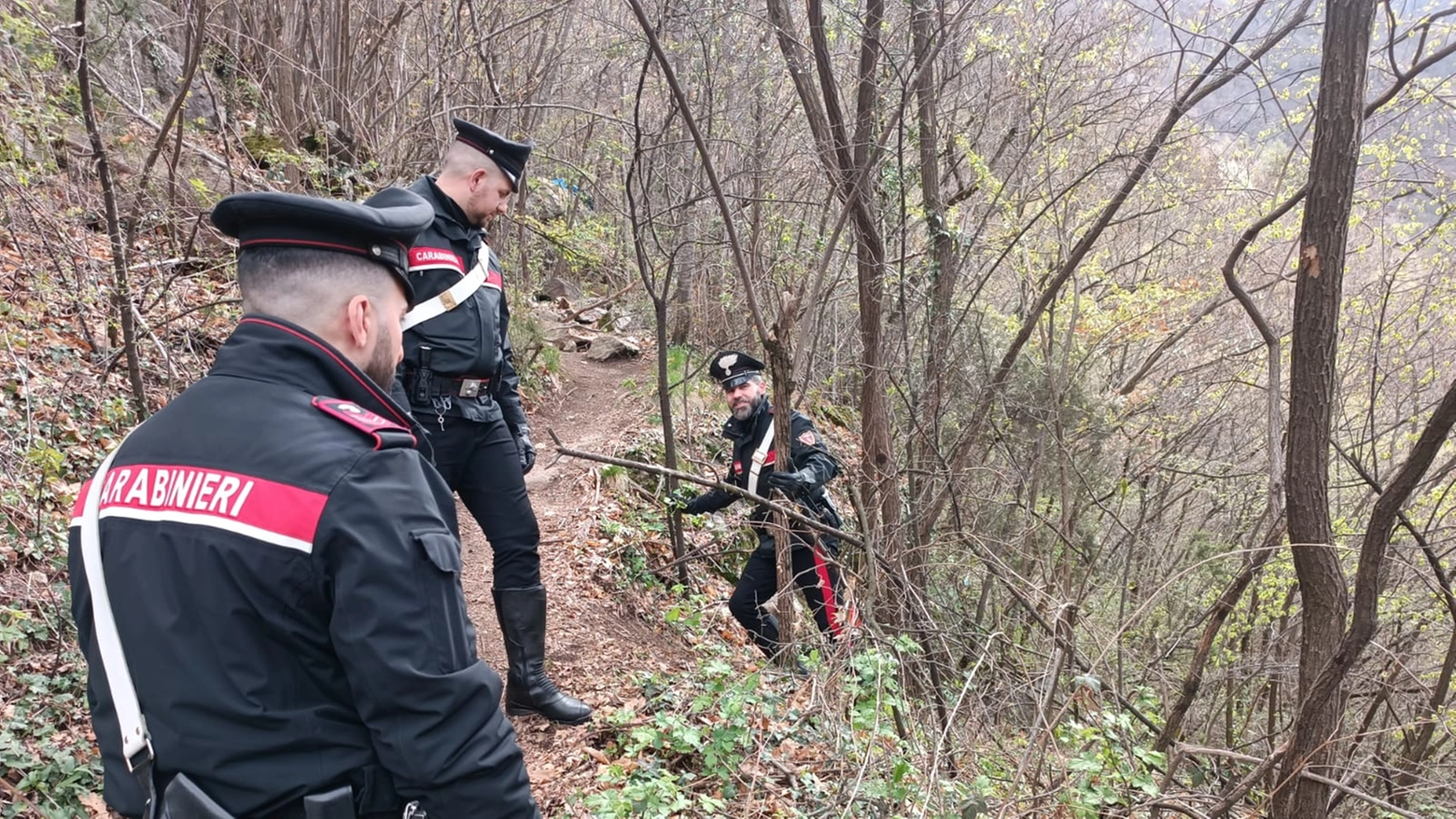 L'operazione dei carabinieri contro lo spaccio di droga in Val Tartano