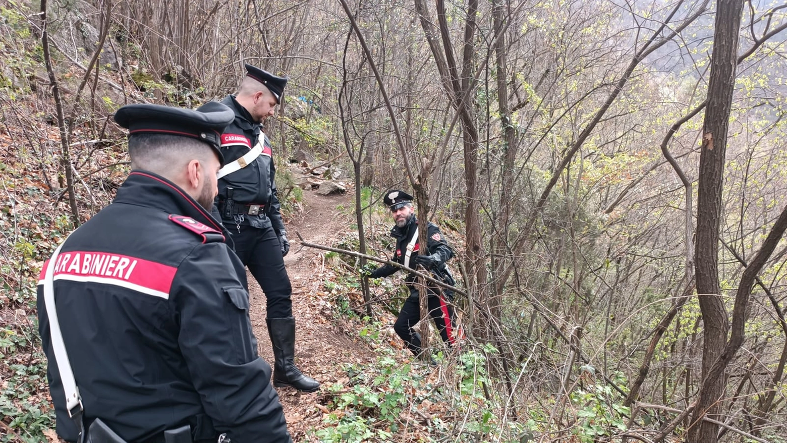 L'operazione dei carabinieri contro lo spaccio di droga in Val Tartano L'operazione dei carabinieri contro lo spaccio di droga in Val Tartano