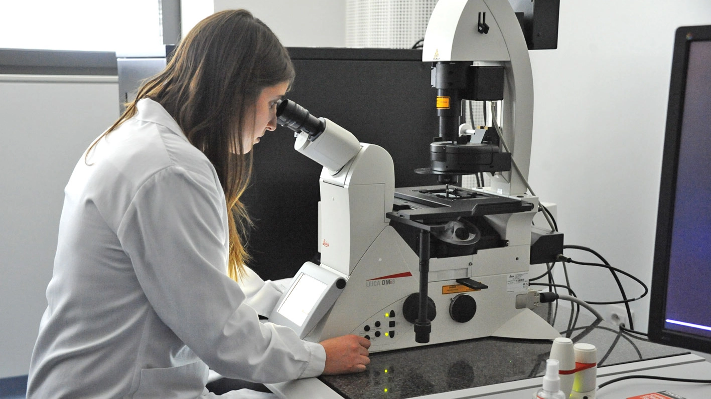 Un laboratorio (Foto archivio)