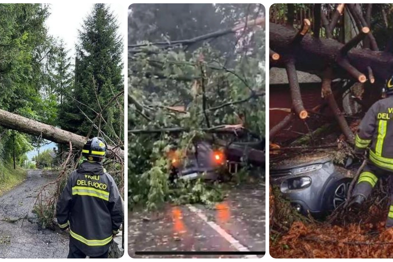Maltempo, alberi caduti in Lombardia (Foto vigili del fuoco)