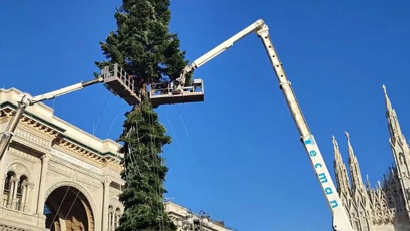 Milano, l'albero di Natale in piazza Duomo