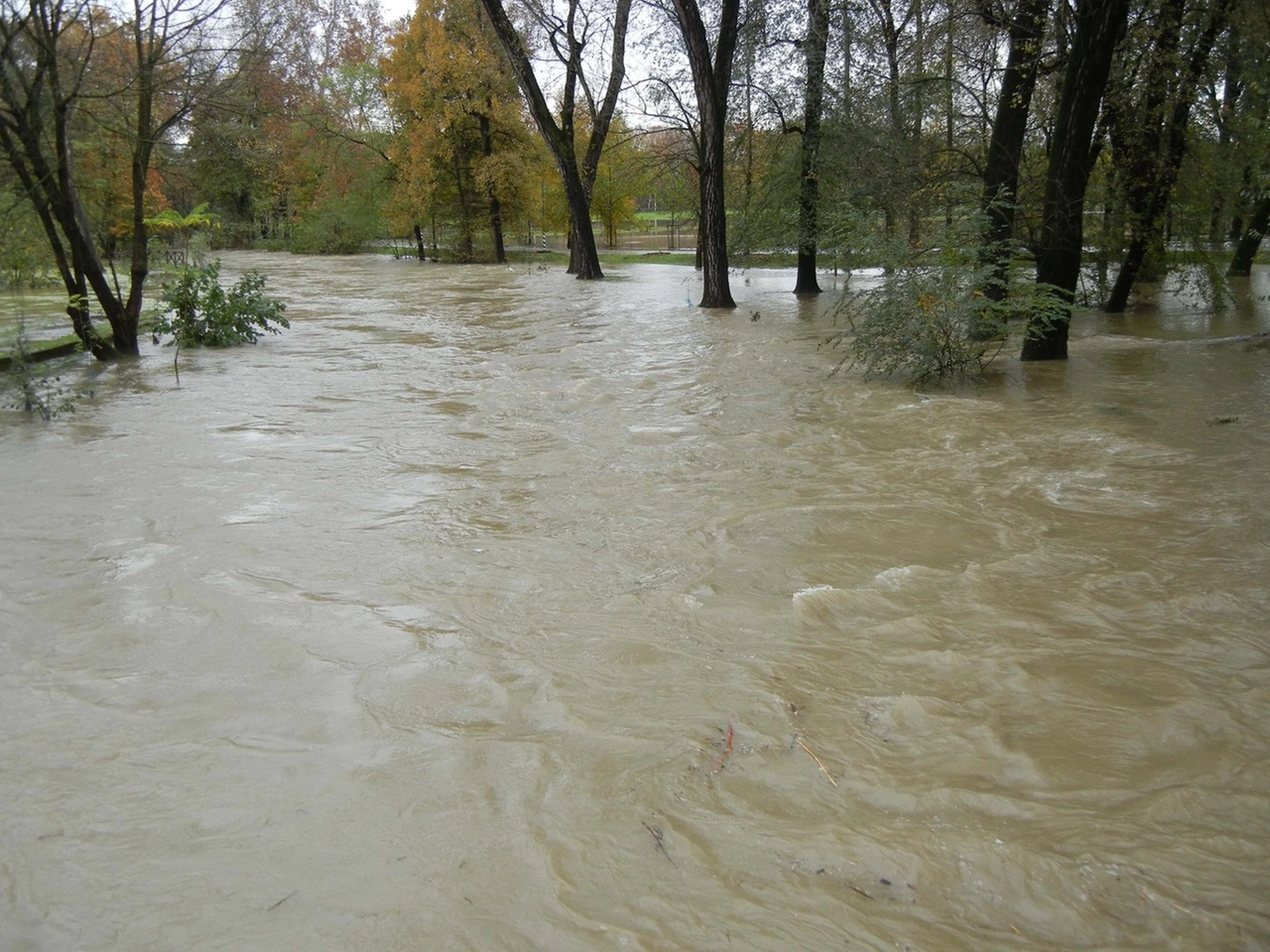 immagine di sfondo 26