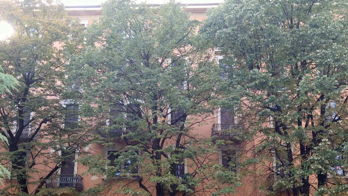 Tre degli otto appartamenti nel mirino si trovano nello stabile di corso Sempione 51. Nella foto il palazzo di largo Rio de Janeiro 7, a Città Studi Tre degli otto appartamenti nel mirino si trovano nello stabile di corso Sempione 51. Nella foto il palazzo di largo Rio de Janeiro 7, a Città Studi