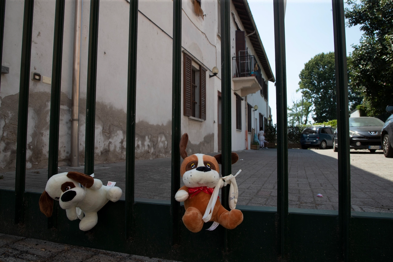 immagine di sfondo 8