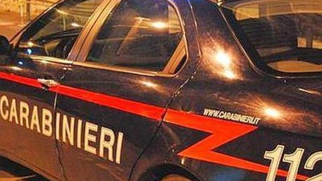 Carabinieri in azione