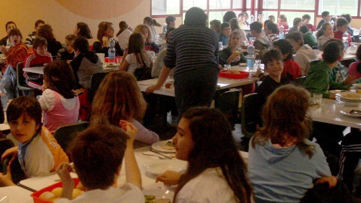 Cibi bio e meno scarti: nelle scuole di Monza i menu più “dinamici“ d’Italia Cibi bio e meno scarti: nelle scuole di Monza i menu più “dinamici“ d’Italia