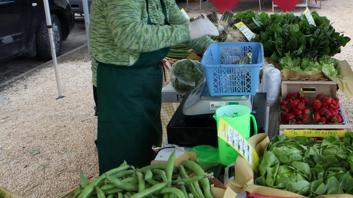 Un fine settimana coi sapori contadini del Varesotto Un fine settimana coi sapori contadini del Varesotto