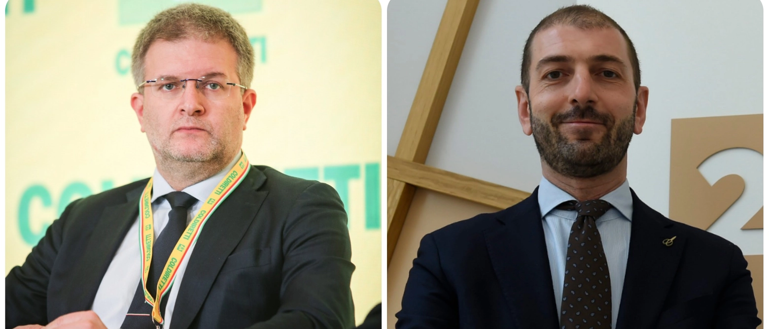 Fdi, l’europarlamentare Carlo Fidanza patteggia un anno e 4 mesi per corruzione: “Ma non è ammissione di colpa”