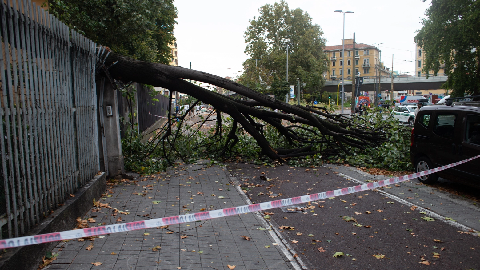Caduto albero su recinzione asilo in viale martini causa la bomba d'acqua  Milano, 26 agosto 2023, ANSA/DAVIDE CANELLA