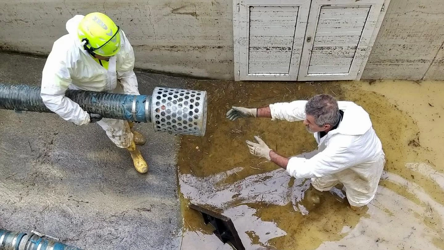 Tra le figure più richieste ci sono gli addetti allo spostamento e alla spedizione dei materiali e delle merci e personale non qualificato delle attività industriali