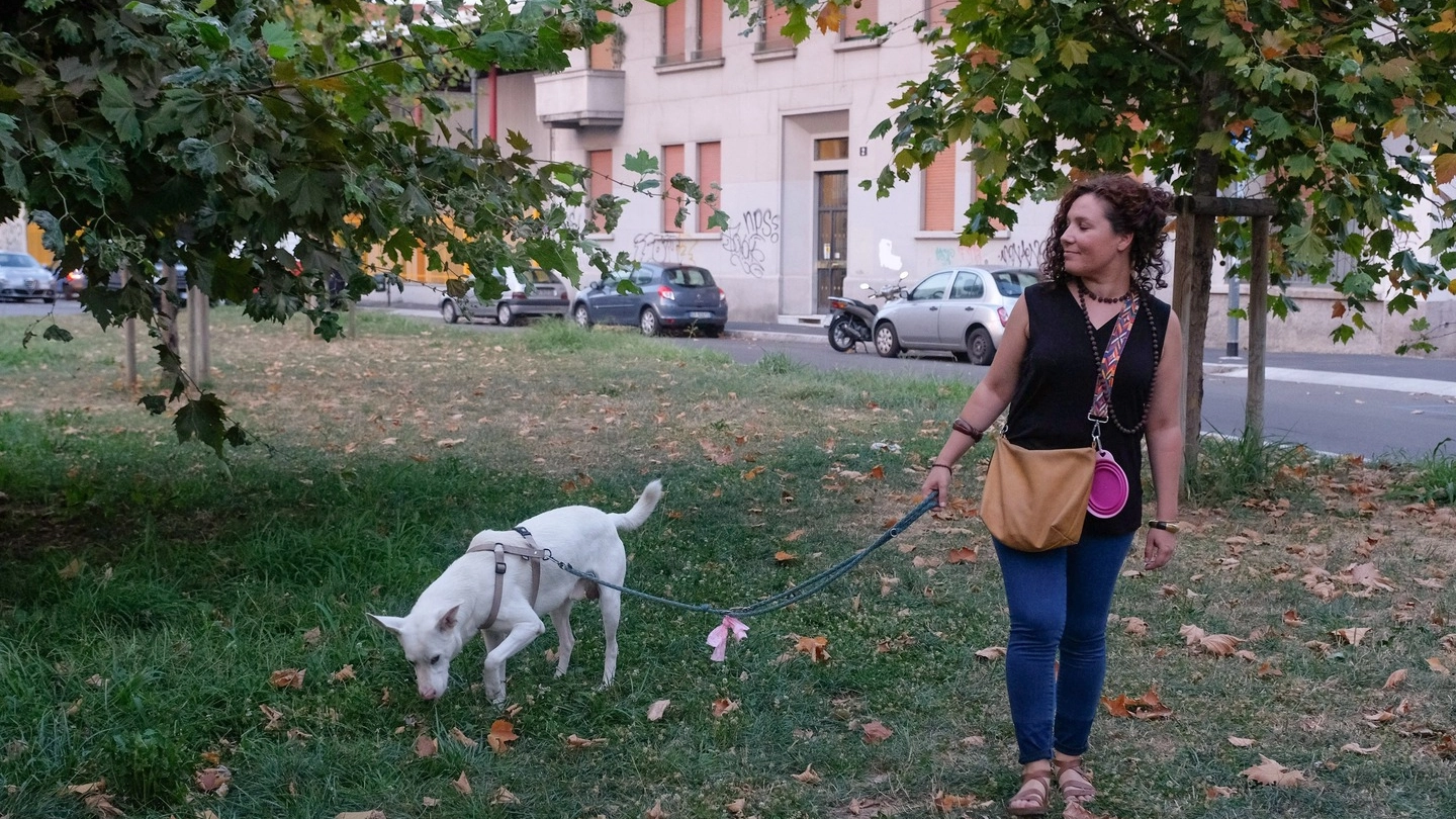 Ilaria Colapietro  porta  a passeggio un cane