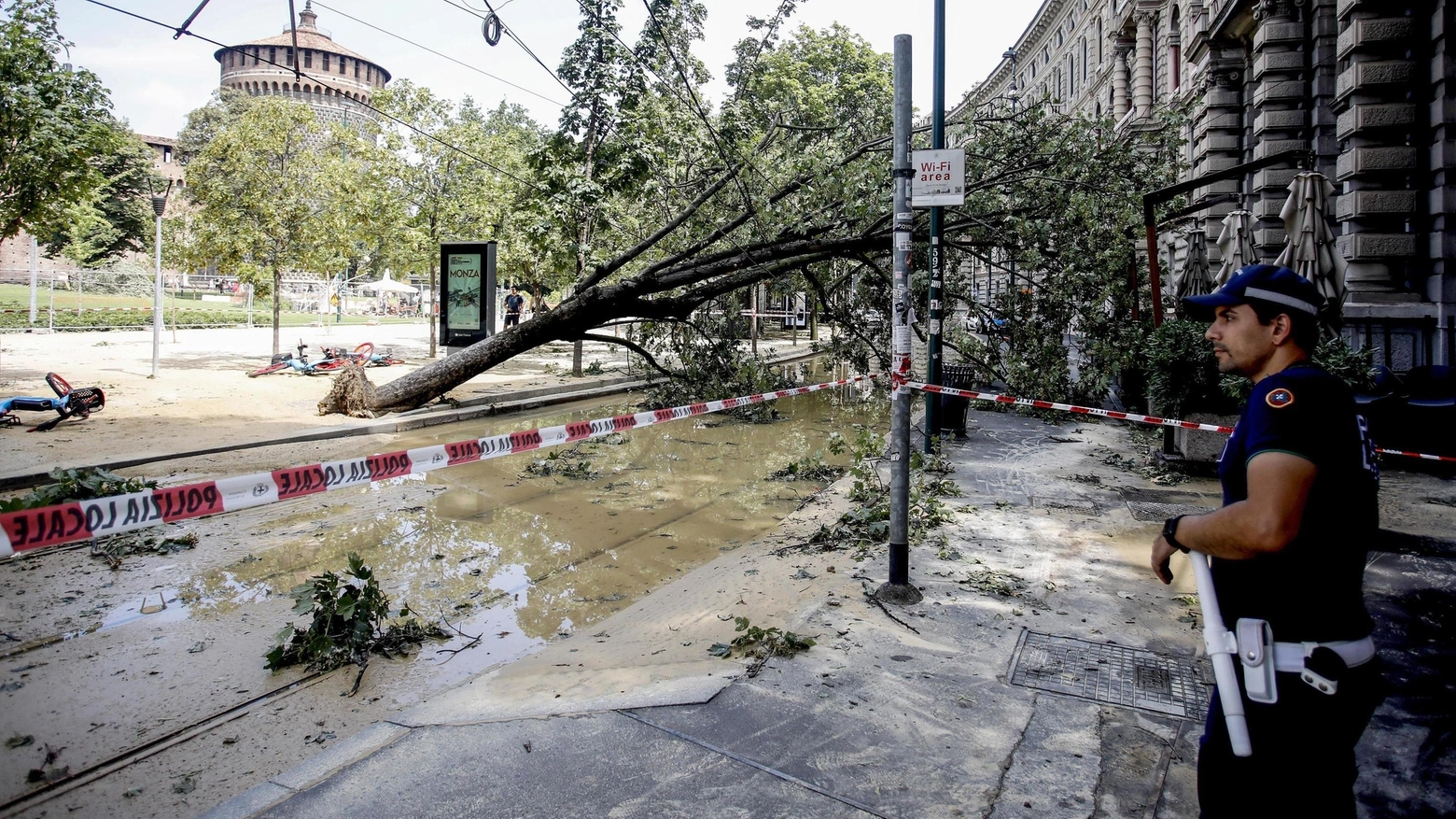"Milano sfregiata  Centinaia di alberi crollati  Dopo 24 ore da incubo   la città è una giungla