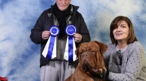Monica Canali 57 anni  di Oggiono e soprattutto il suo splendido cane Tyson un dogue  de Bordeaux di appena 25 mesi