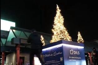 Albero piazzale Cadorna – Dils (Frame video Dils)