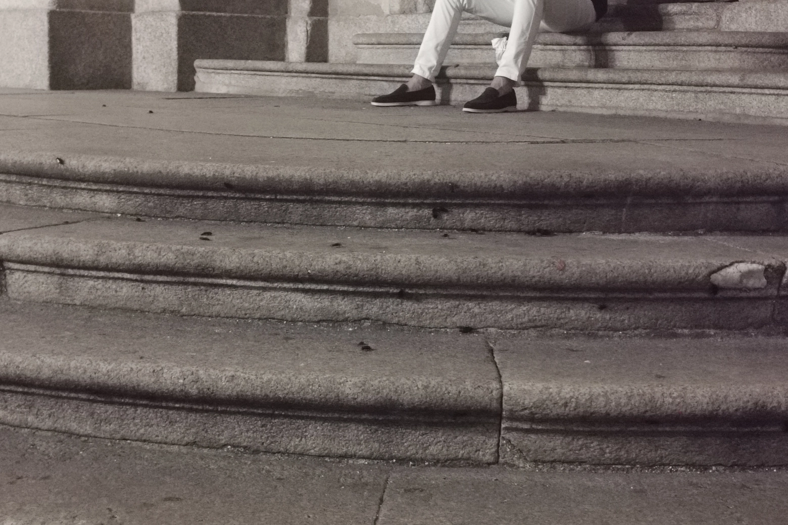 Blatte sulla scalinata di Sant'Alessandro a Milano (Foto F. Tonioni)