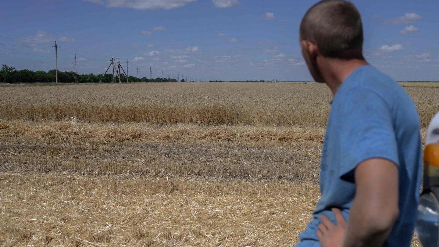 Il grano ucraino è ancora fermo nei porti in attesa di essere esportato