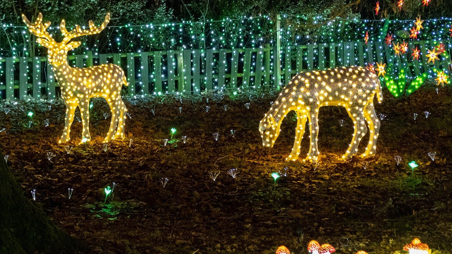 Dopo due anni di assenza e la passata edizione in trasferta a Laveno Mombello, torna il tradizionale villaggio illuminato creato da Lino Betti