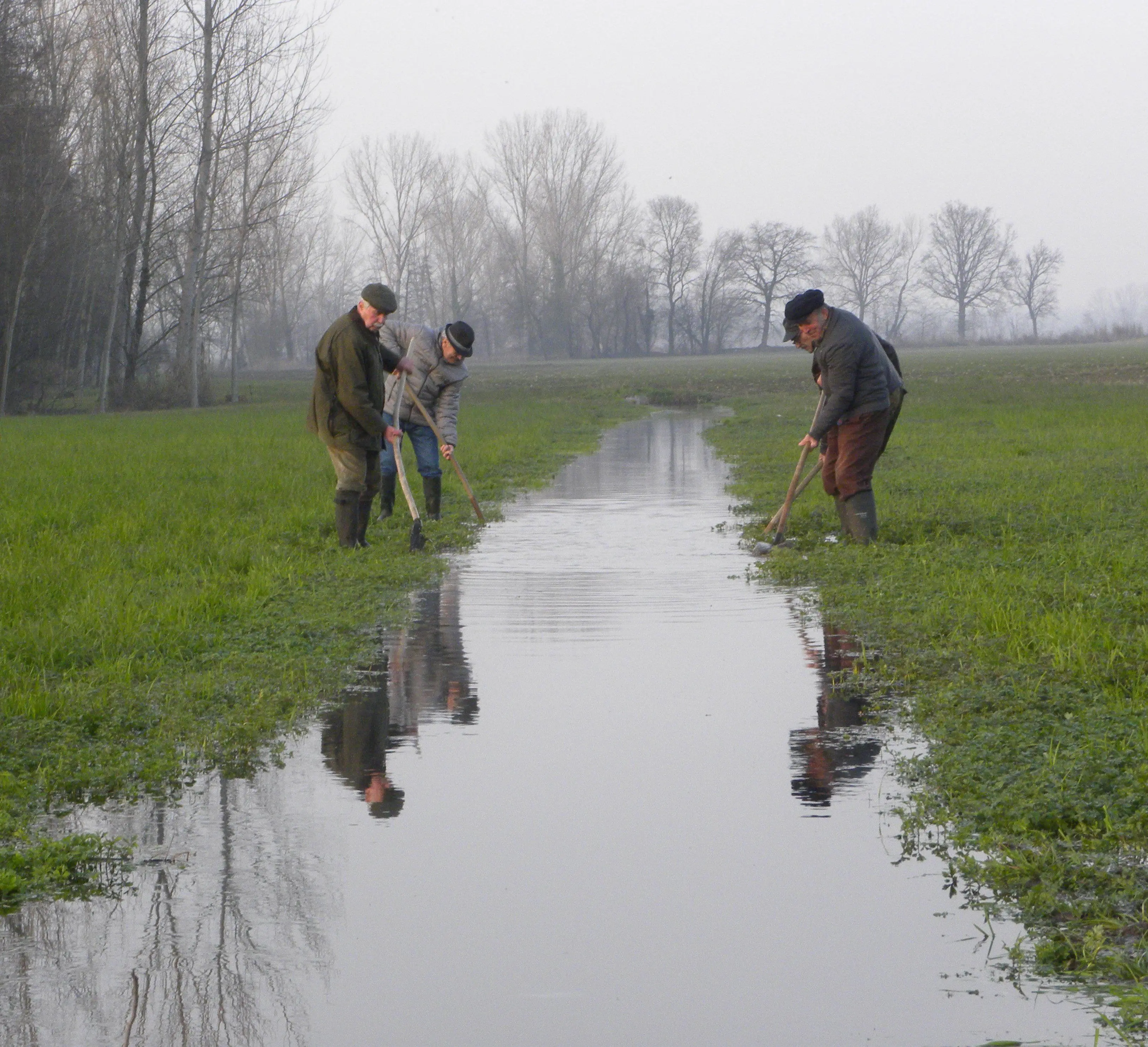Il Parco del Ticino sommerge le risaie