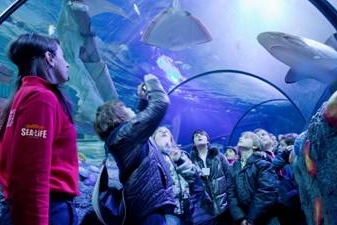 Gardaland Sea Life