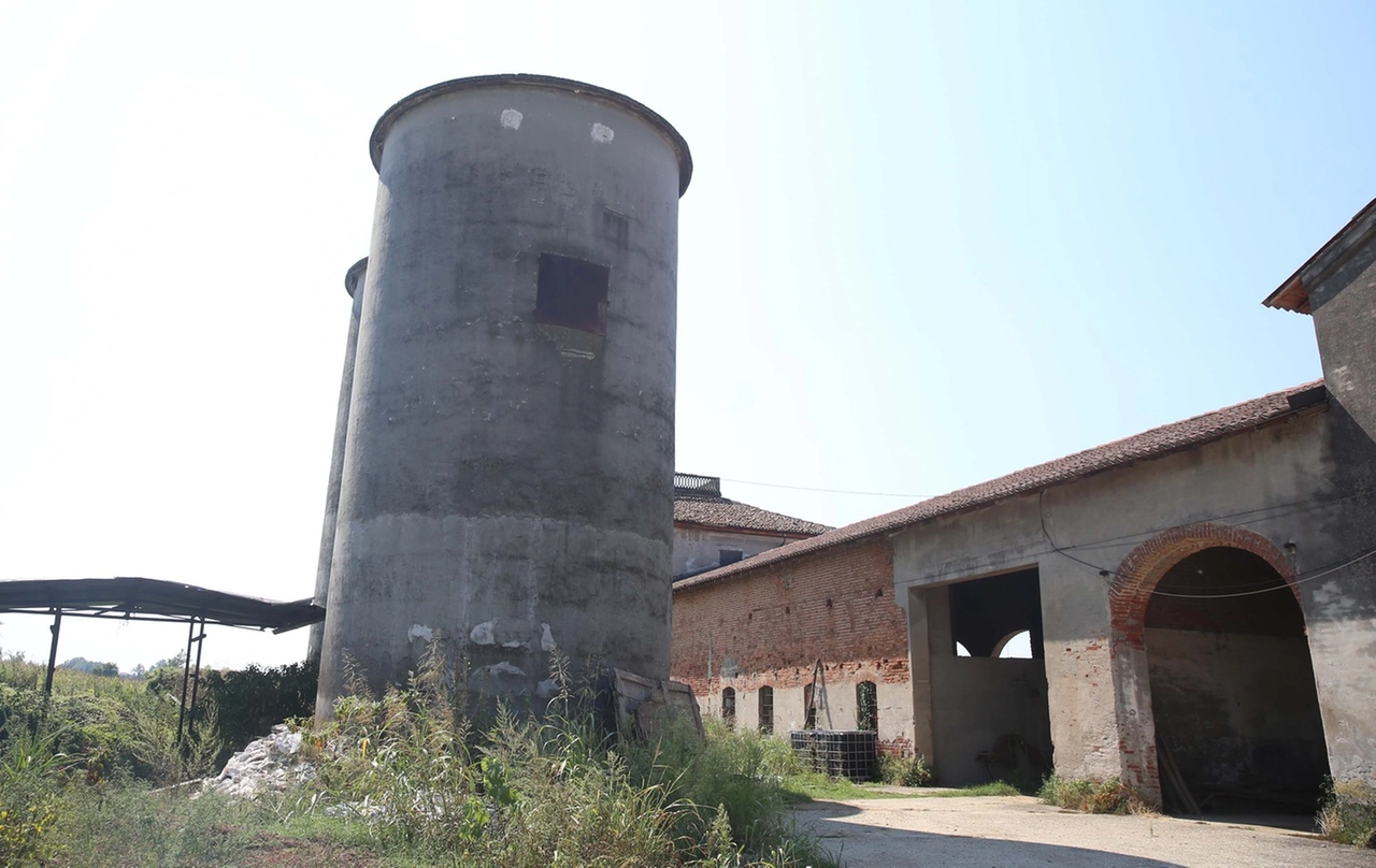 immagine di sfondo 17