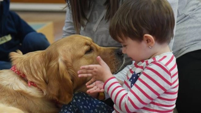 Bambini e cani, un amore infinito