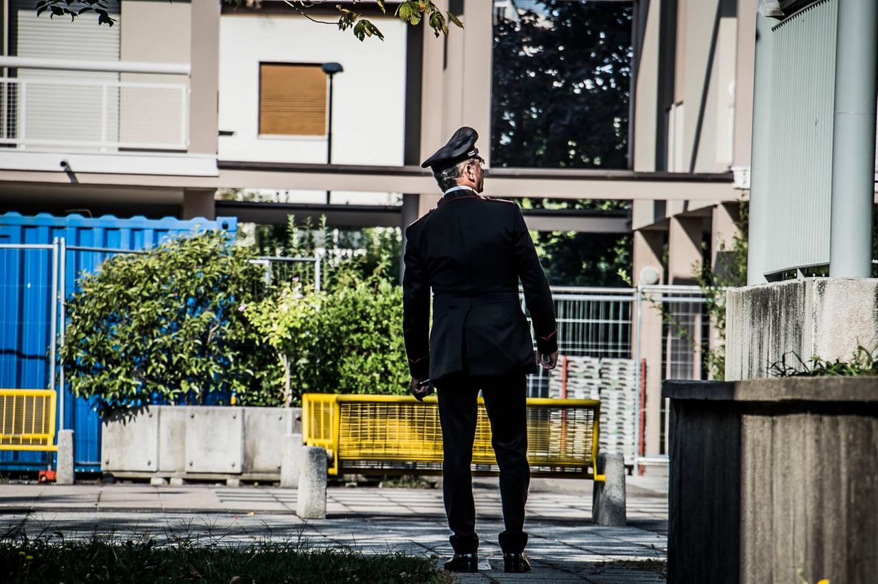 immagine di sfondo 1