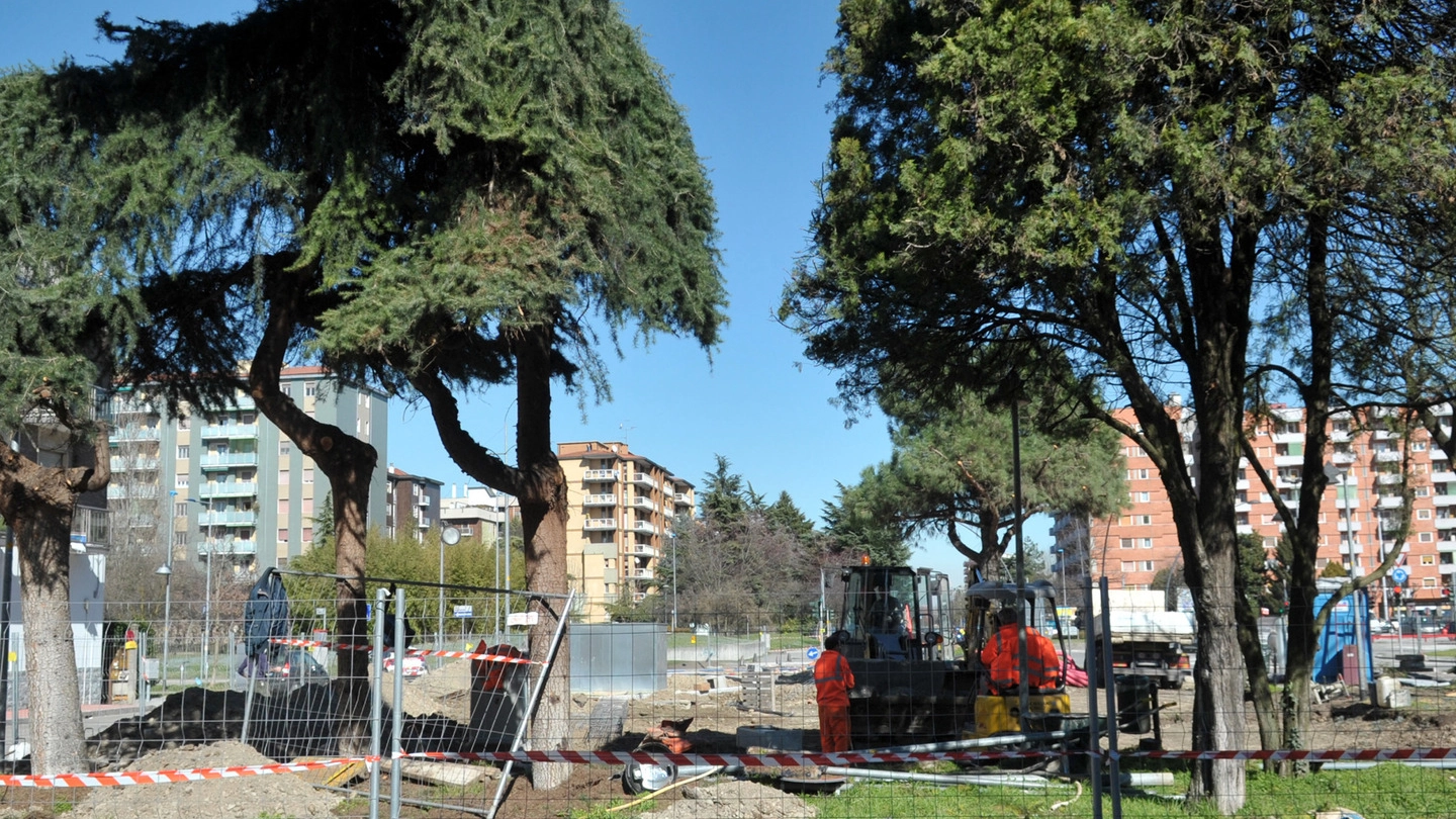 In piazza Tevere saranno sostituiti i quattro alberi abbattuti