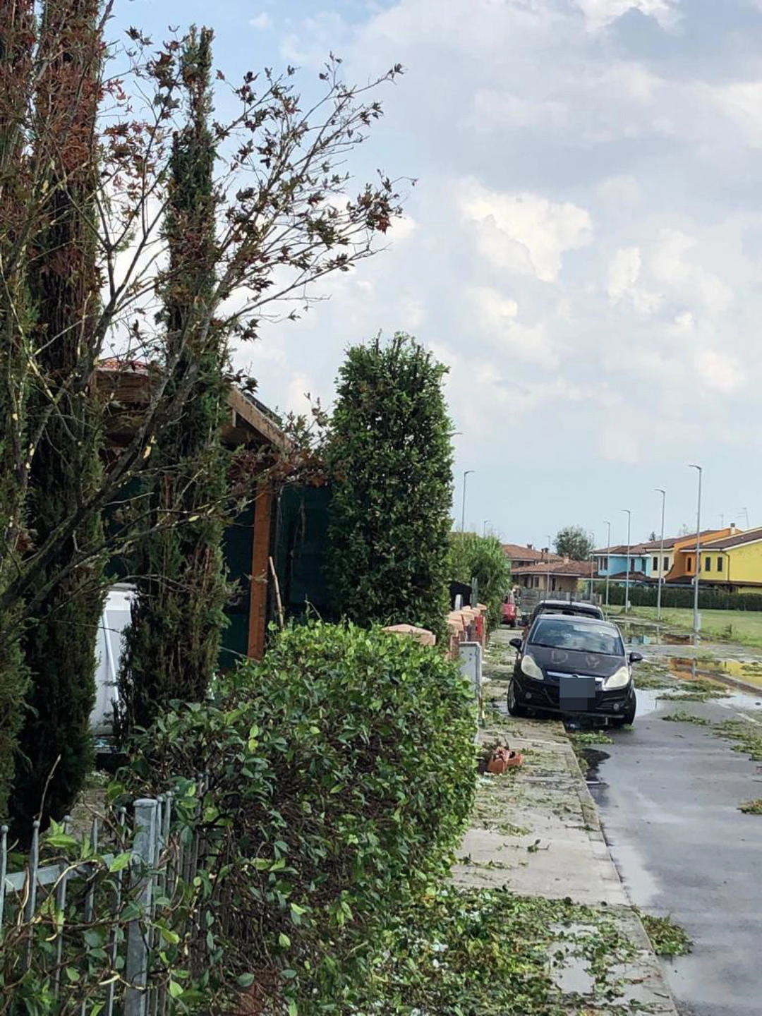 immagine di sfondo 5