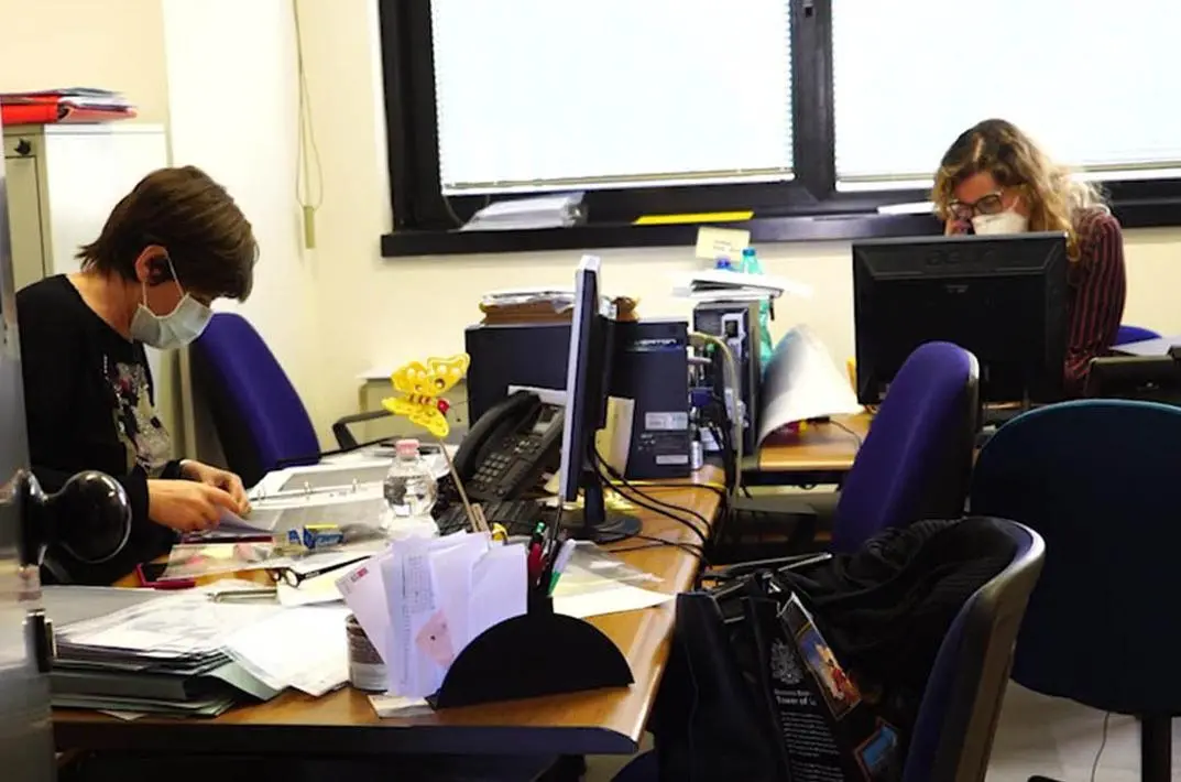 Tasse, multe, bollette e documenti Sempre più pagamenti via internet
