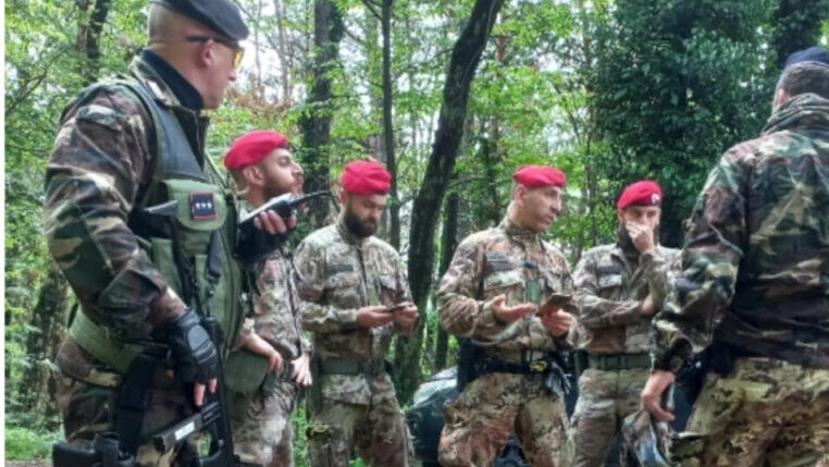 Le operazioni di controllo nei boschi