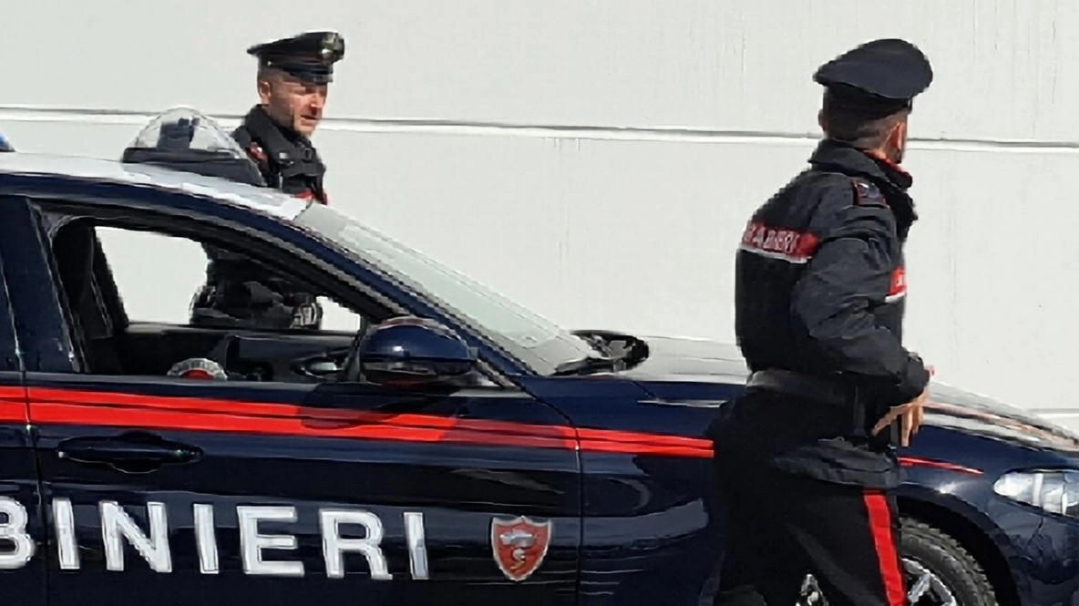 L'uomo è stato arrestato dai carabinieri (foto di archivio) L'uomo è stato arrestato dai carabinieri (foto di archivio)