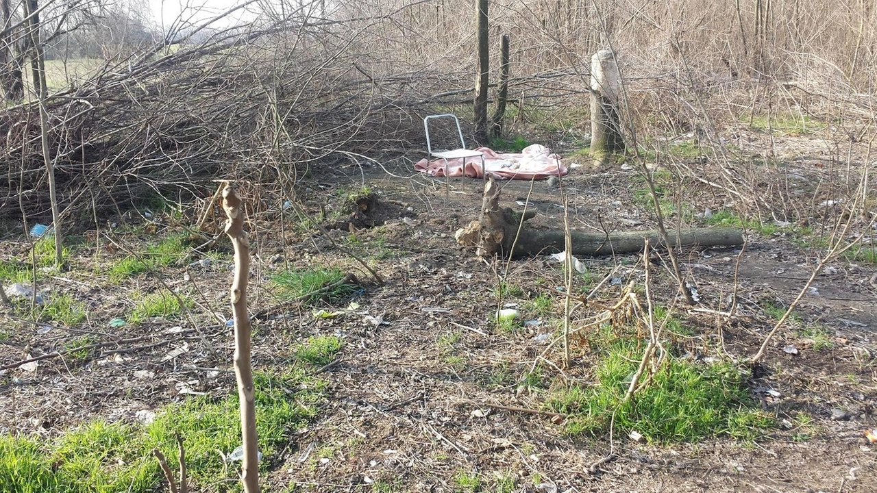 immagine di sfondo 5