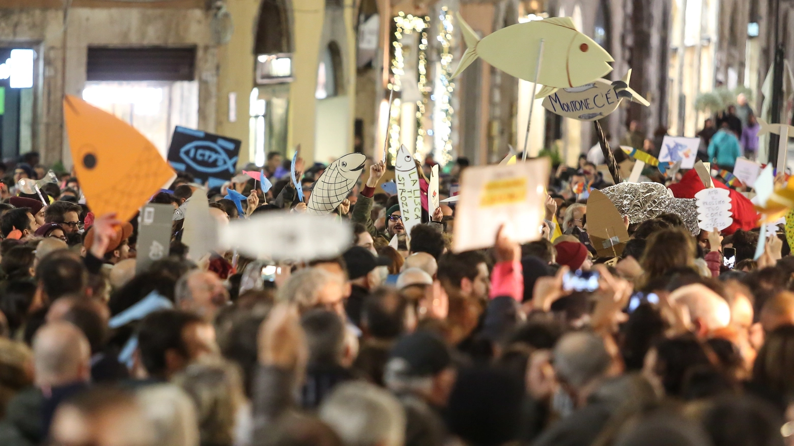 Sardine in piazza