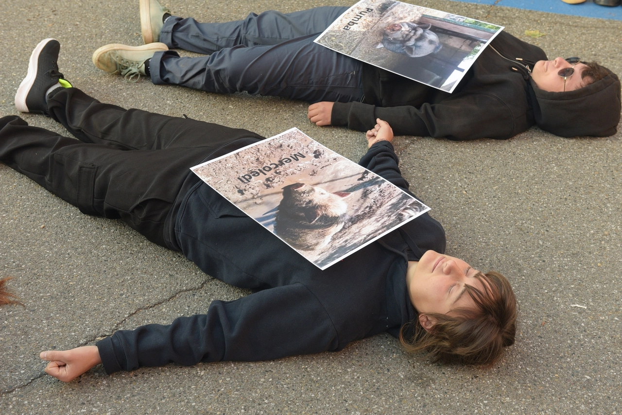 immagine di sfondo 14