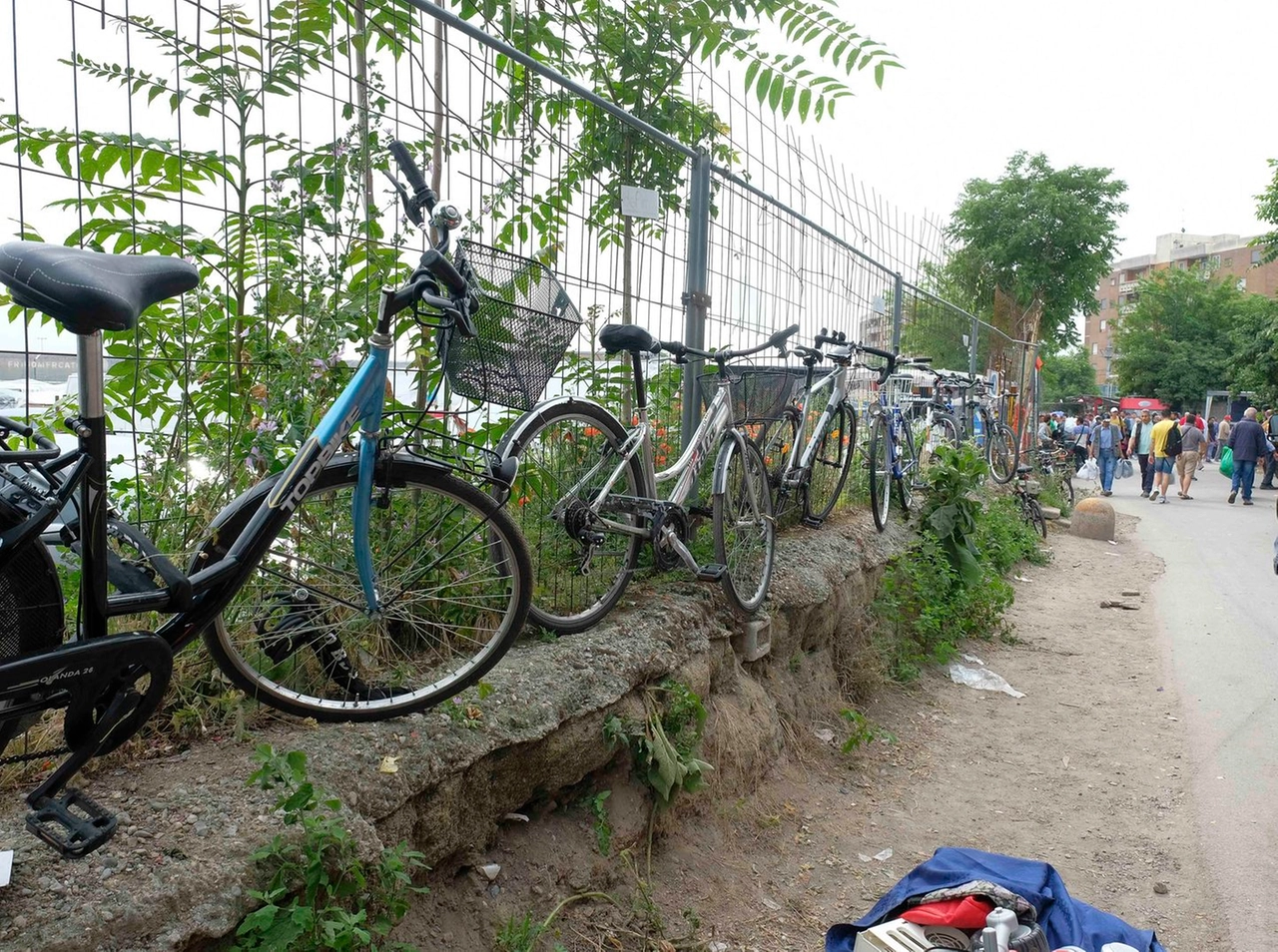 immagine di sfondo 23