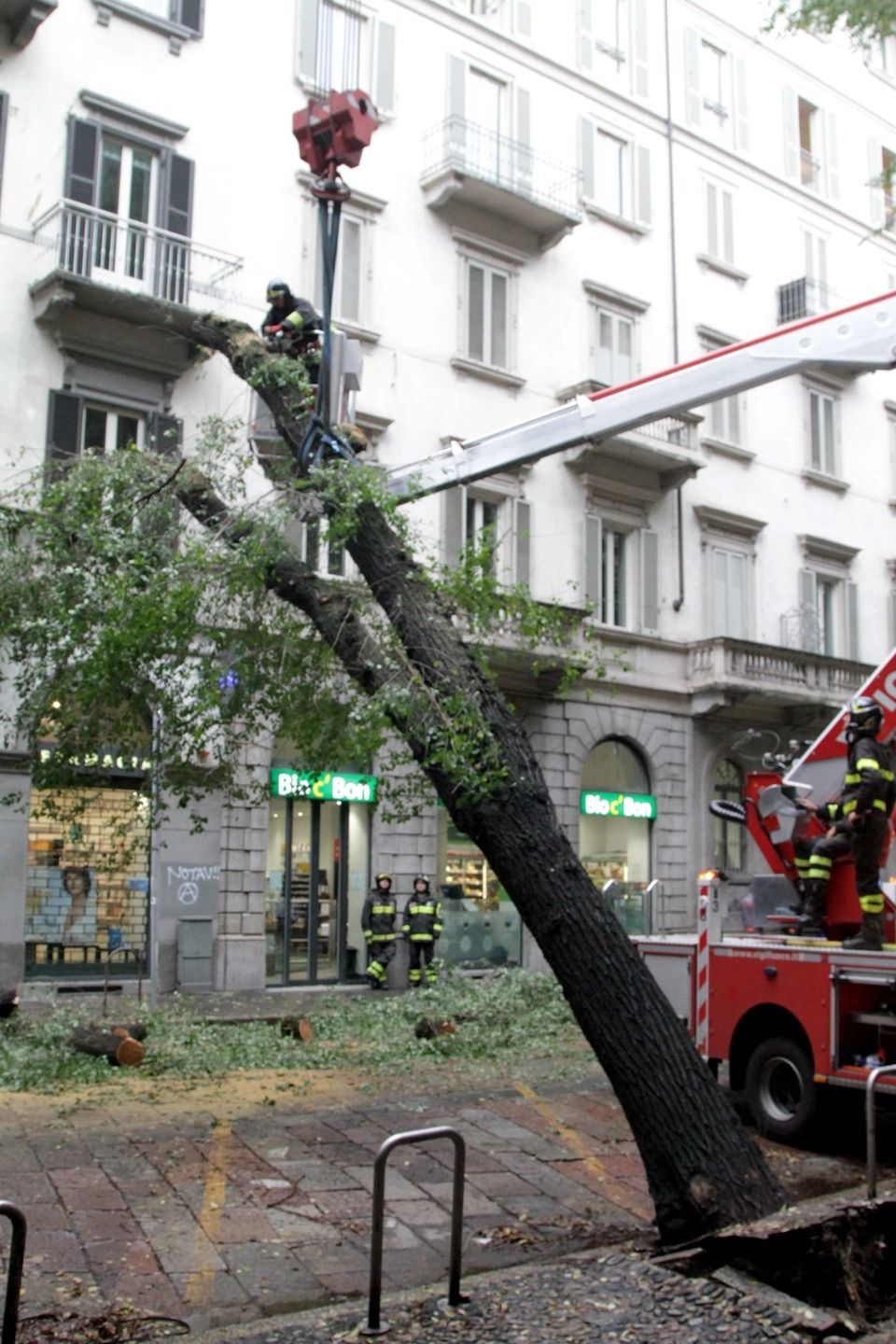 immagine di sfondo 10