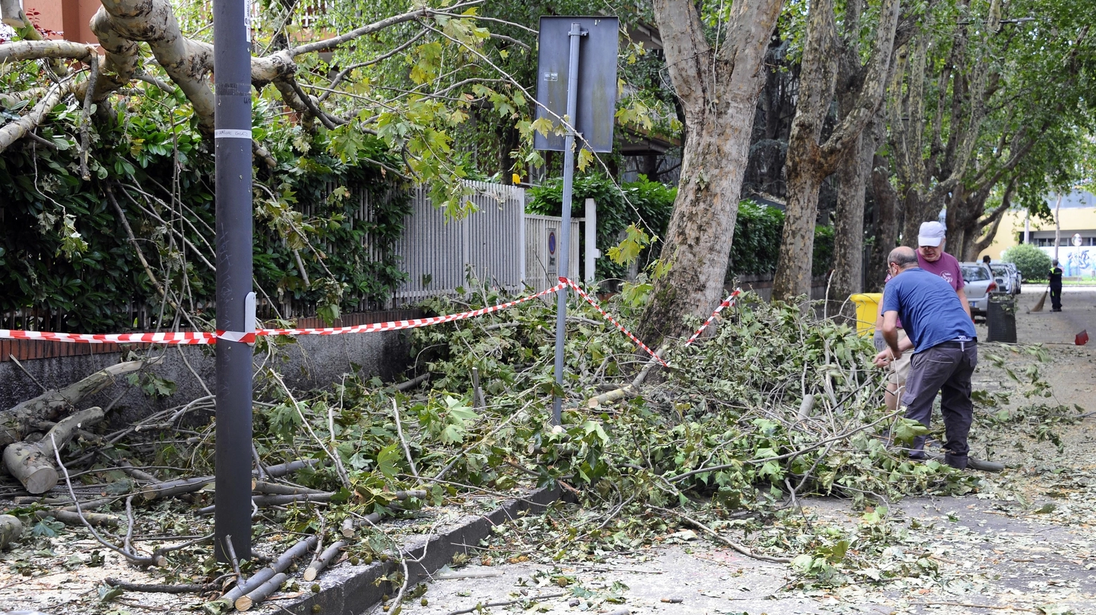 Dopo il nubifragio Gli alberi sradicati diventano energia pulita per il teleriscaldamento Dopo il nubifragio Gli alberi sradicati diventano energia pulita per il teleriscaldamento