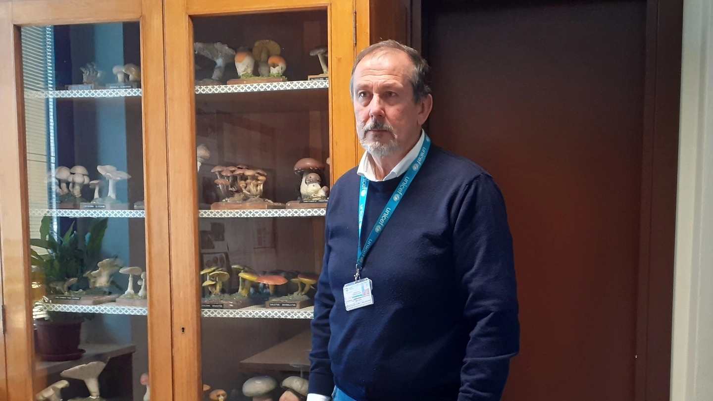 Mario Gatta, responsabile dell’Ispettorato micologico di Brescia