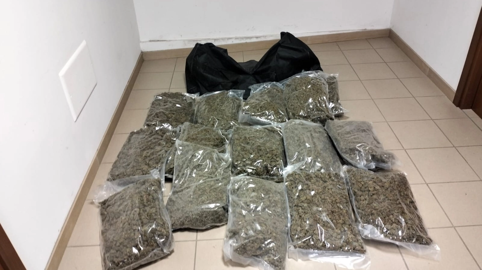 La marijuana sequestrata La marijuana sequestrata