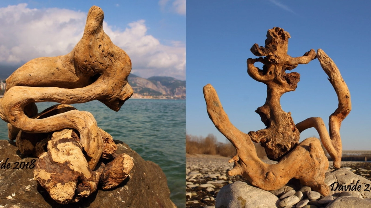 Sculture dalla natura, a Lodi la mostra fotografica 'Sensazioni visive'
