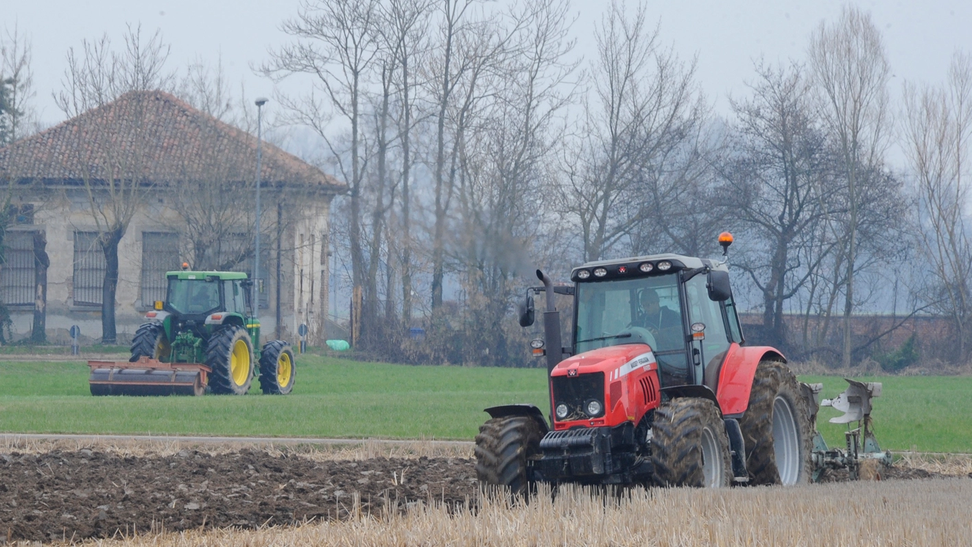 Emergenza idrica, cambia la strategia agricola in Lombardia. Mais e soia seminati al posto del riso