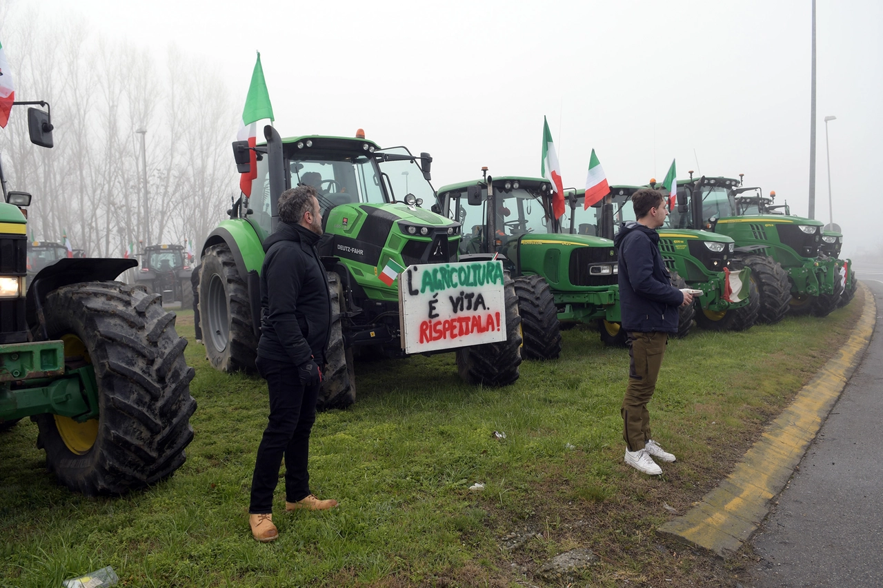 immagine di sfondo 5