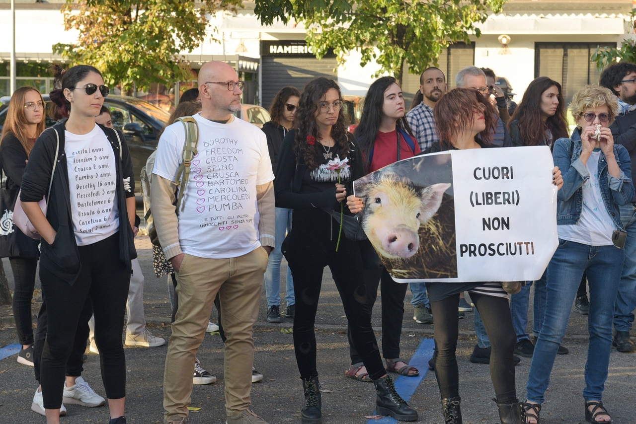 immagine di sfondo 4