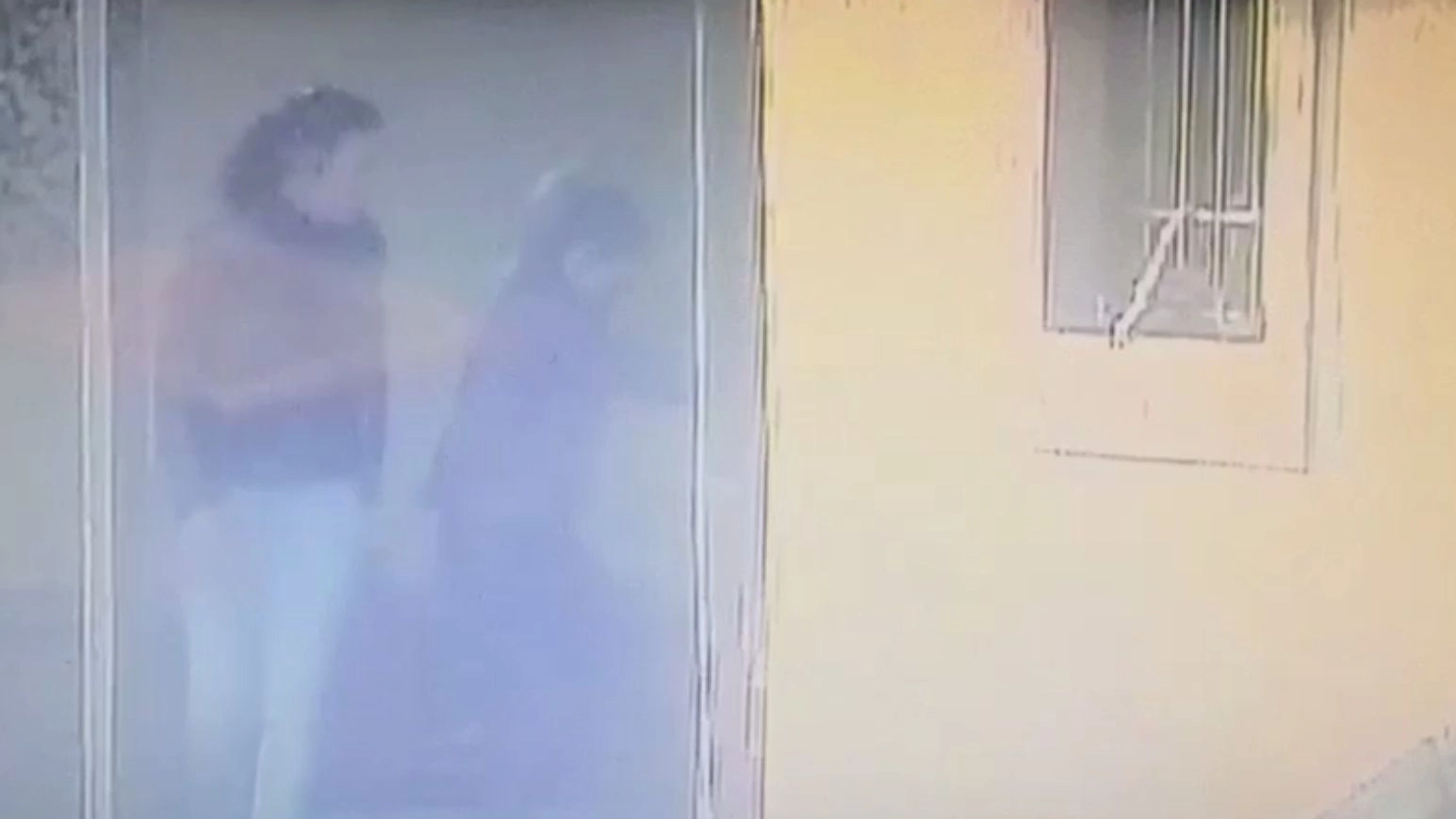 Tentato furto in villa (Frame video)