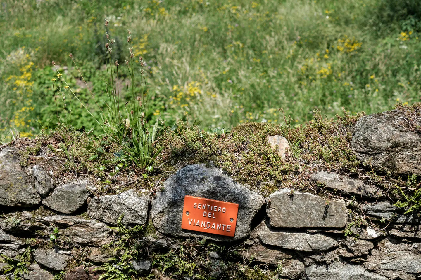immagine di sfondo 3