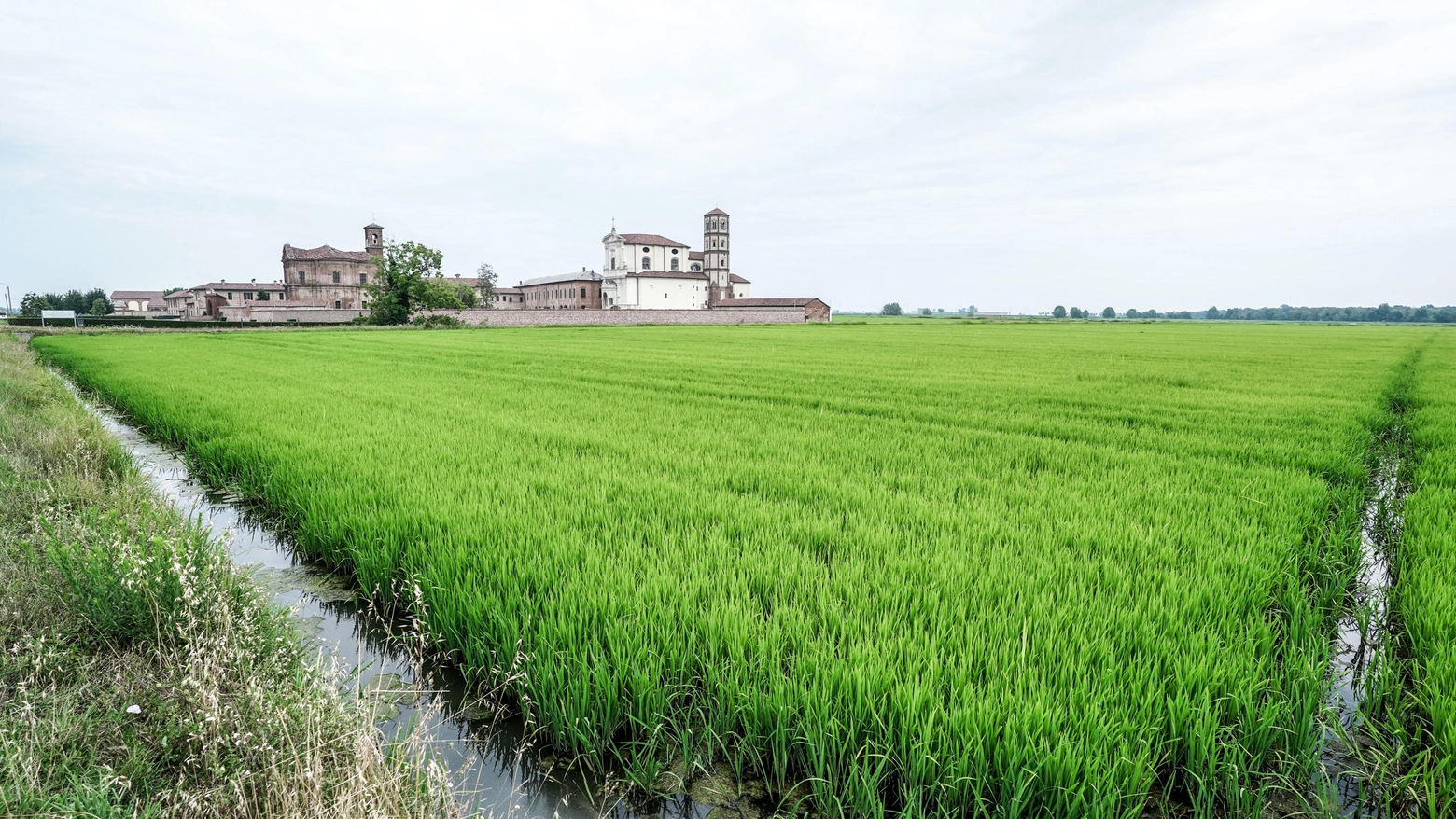 A poche settimane dalle semine, i coltivatori piemontesi contestano la distribuzione dell’acqua. Oggi il Cda dell'Associazione Irrigazione Est Sesia