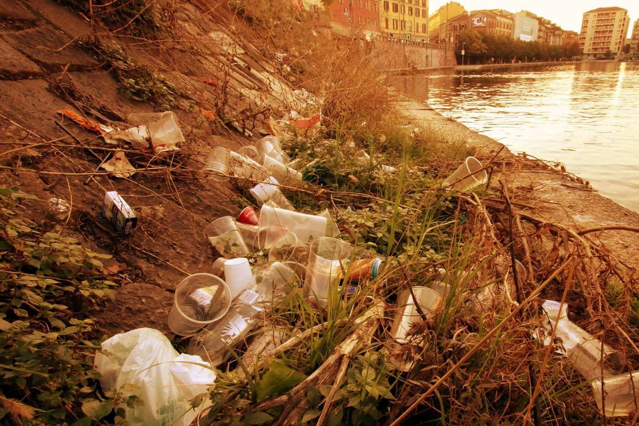 Rifiuti in Darsena