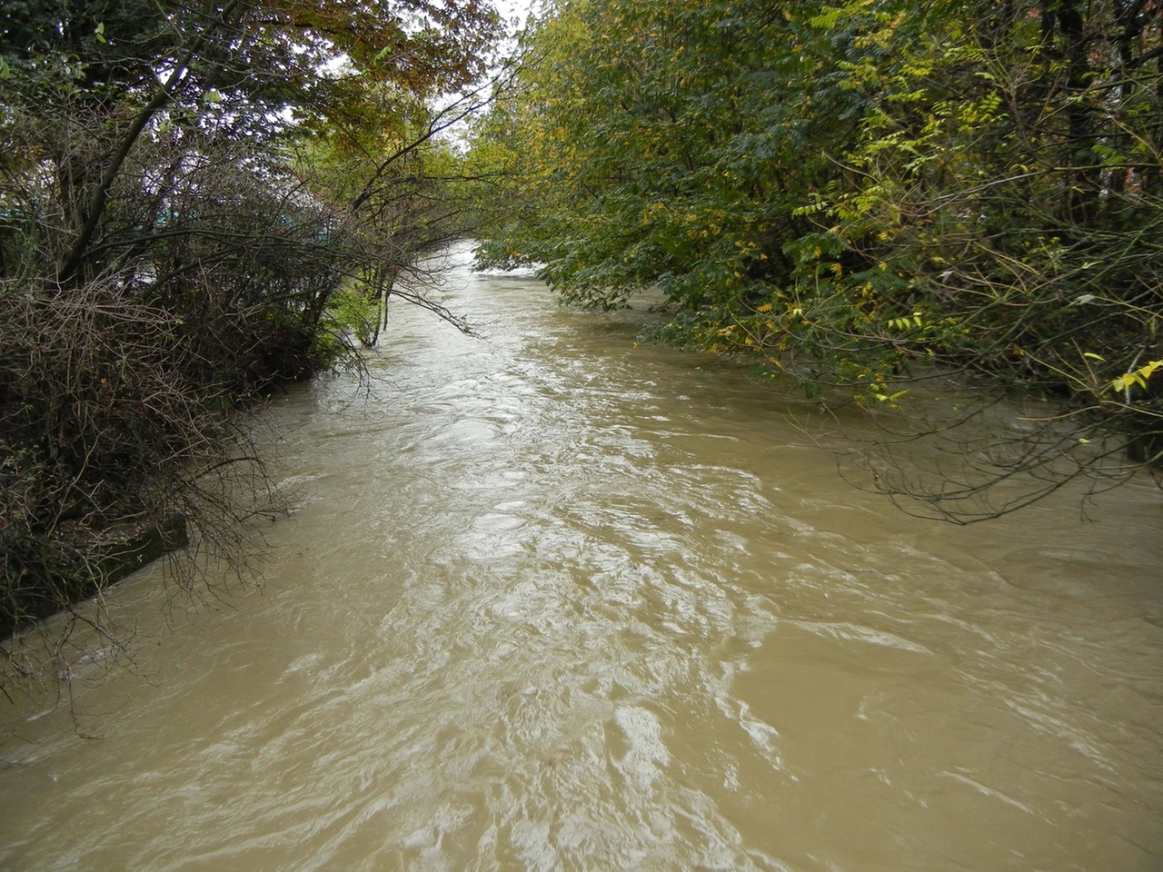 immagine di sfondo 14