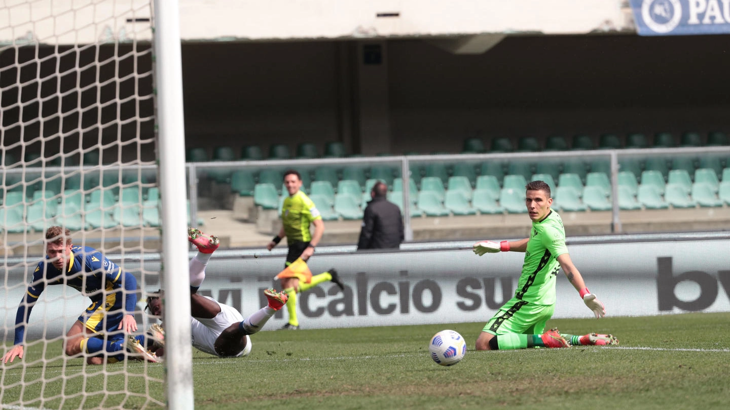 Verona-Atalanta: il gol del 2-0 di Zapata